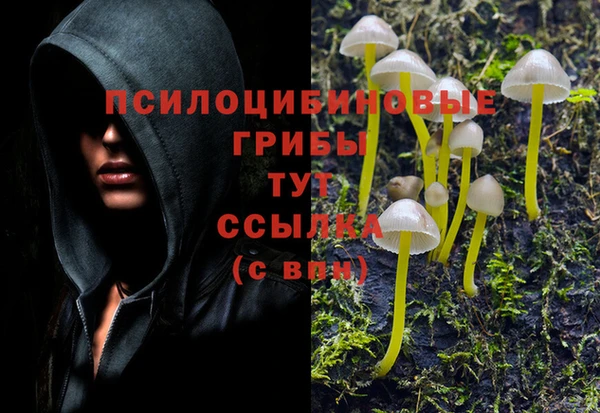 синтетический гашиш Верхний Тагил