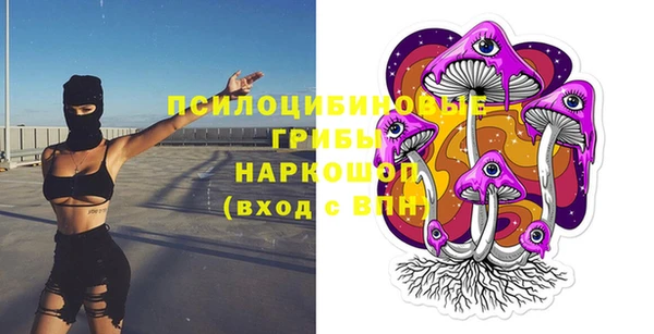 синтетический гашиш Верхний Тагил